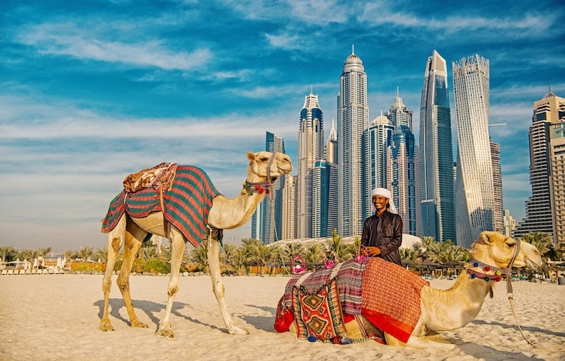 فرهنگ و هنر کشور امارات متحده عربی و دبی